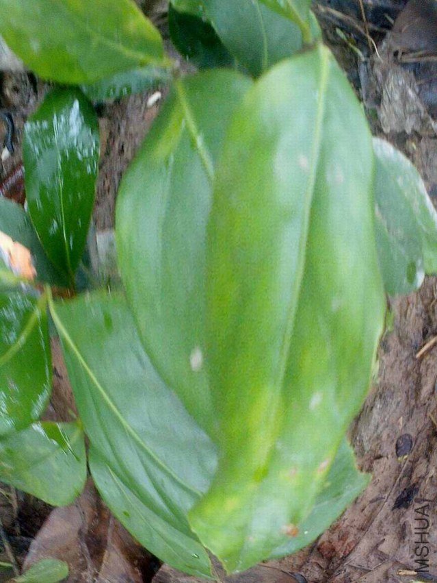 IMG0626160000.jpg