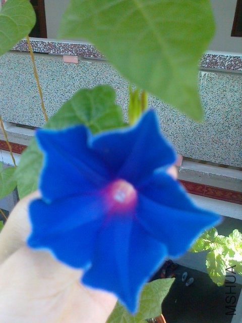 201206271674.jpg