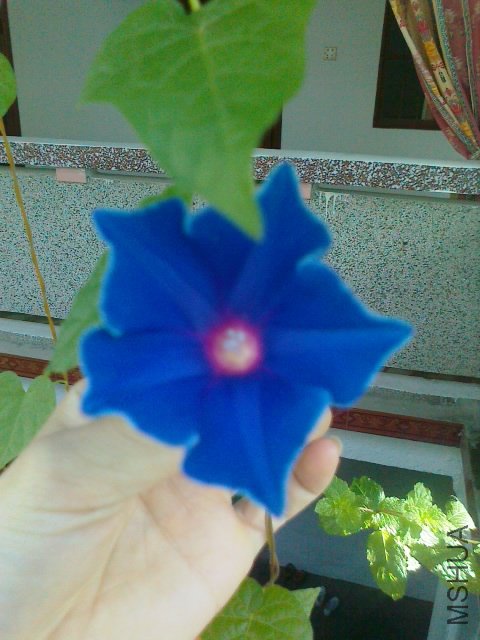 201206271675.jpg