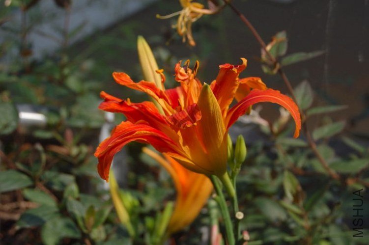 DSC_02130213.JPG