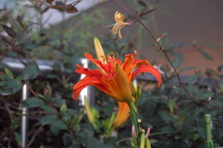 DSC_01260126.JPG