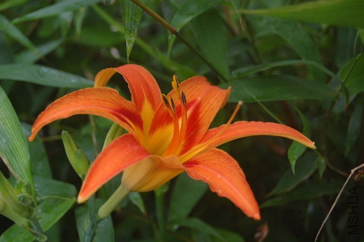 DSC_00350035.JPG