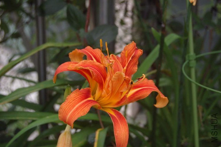 DSC_00310031.JPG
