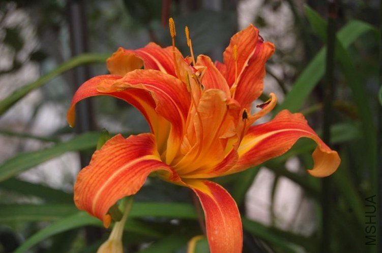 DSC_00290029.JPG