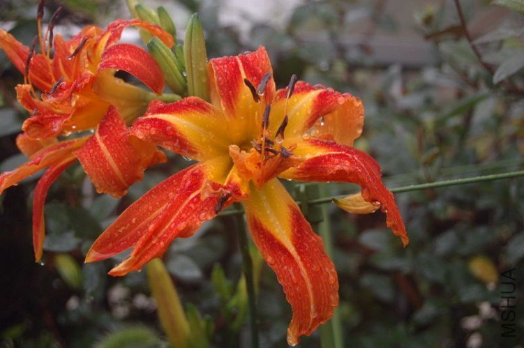 DSC_00030003.JPG