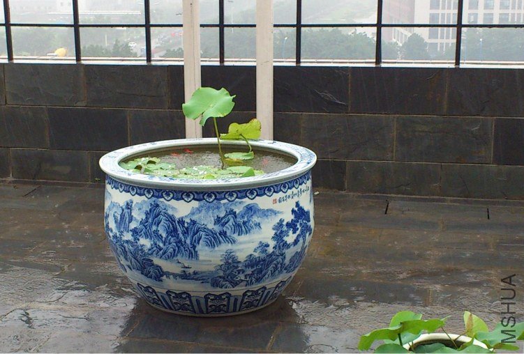 ϸ�������