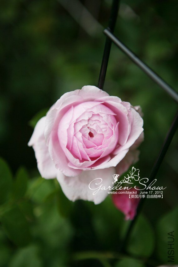 IMG_3658 ����.jpg