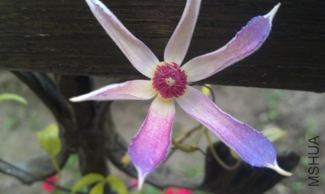 IMAG0184 (640x383).jpg