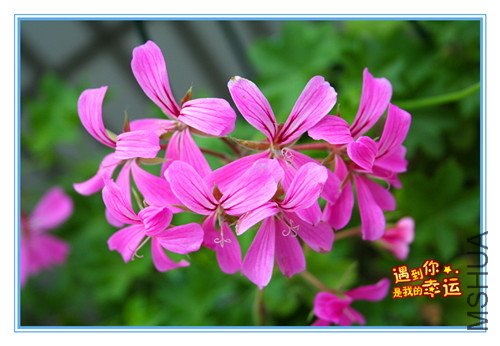 ��Ƭ 015_����.jpg