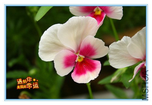 ��Ƭ 023_����2.jpg