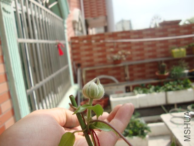 DSC02481.JPG