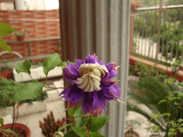 DSC02514.JPG