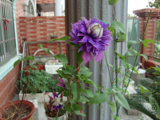 DSC02520.JPG