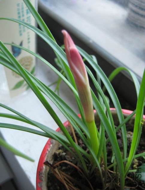2012-06-25.jpg