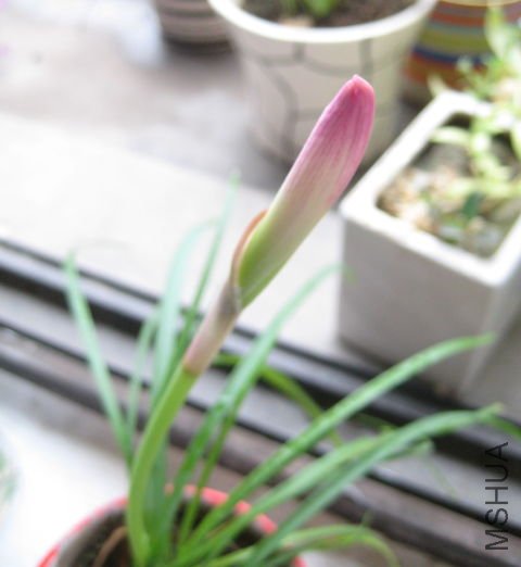 2012-06-26.jpg