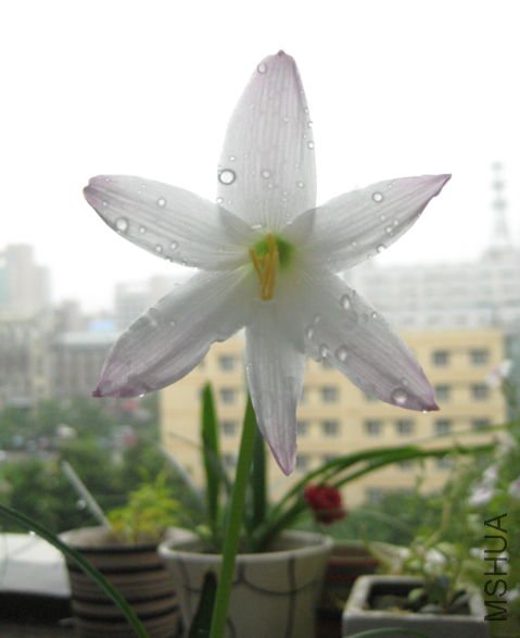 2012-06-27.jpg