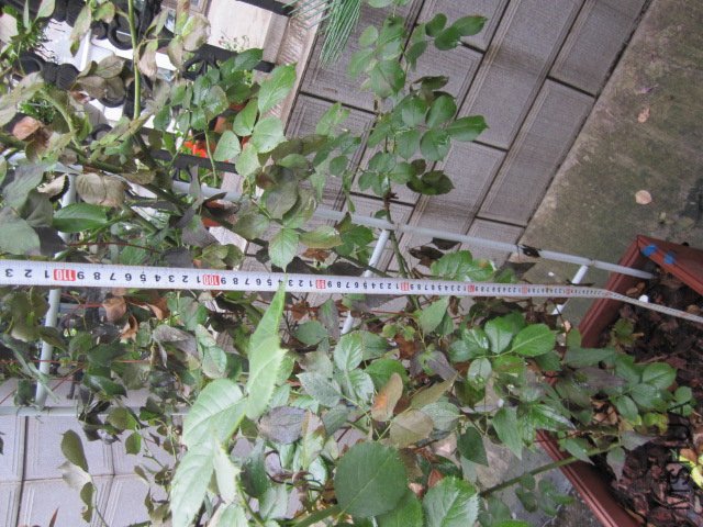 ��Ƭ 022.jpg