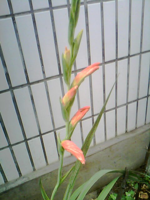 20120627_1745_0.jpg