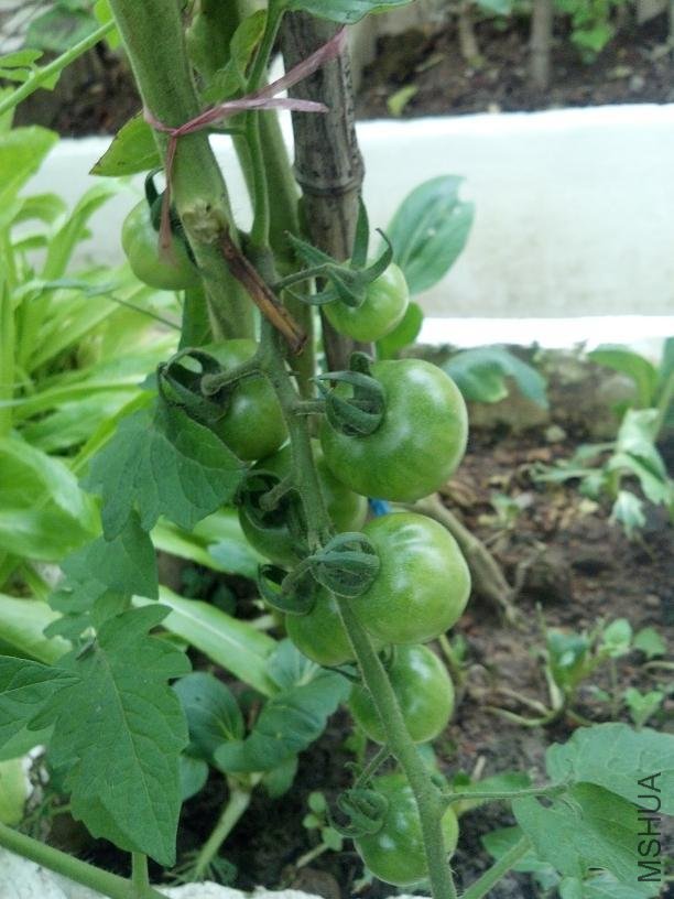 2012-06-27_18-10-07_835.jpg