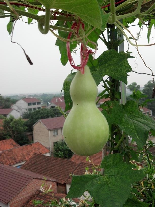 ��«���ĺܿ���