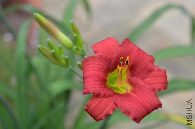 ���20120610 001.JPG