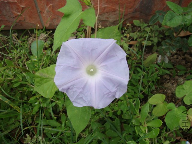 DSC02490.JPG