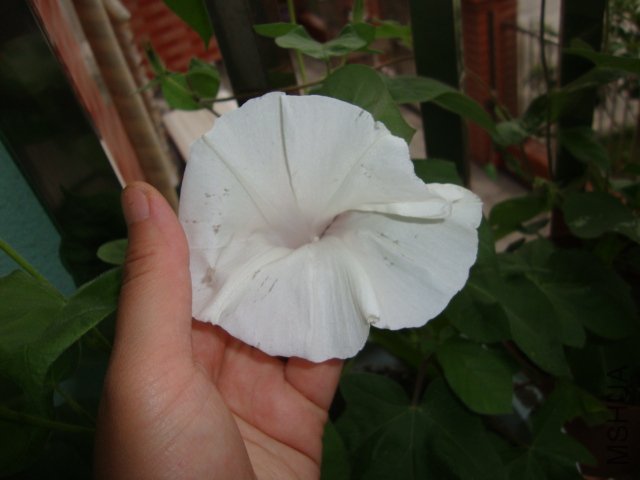 DSC02530.JPG