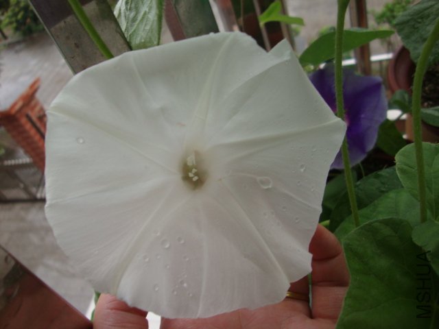 DSC02535.JPG