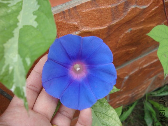 DSC02543.JPG
