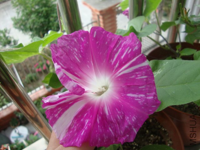 DSC02566.JPG