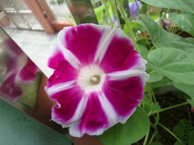 DSC02567.JPG