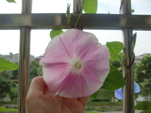 DSC02568.JPG