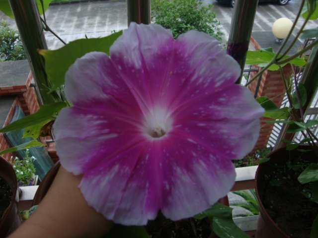 DSC02602.JPG