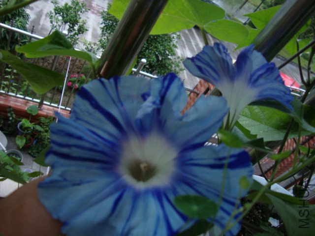 DSC02606.JPG