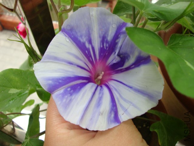 DSC02608.JPG