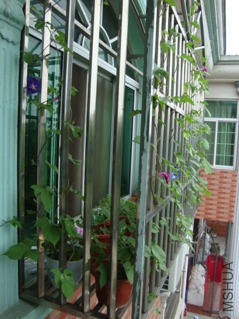 DSC02613.JPG
