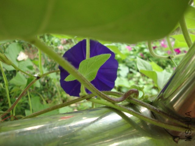 DSC02624.JPG
