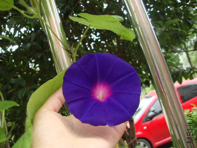 DSC02625.JPG