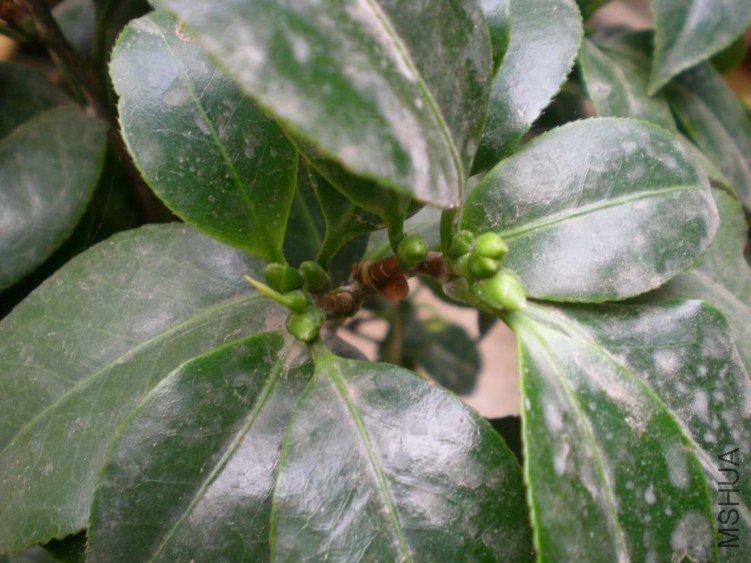 DSCN4625.JPG