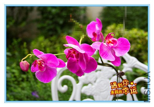 ��Ƭ 043_����.jpg