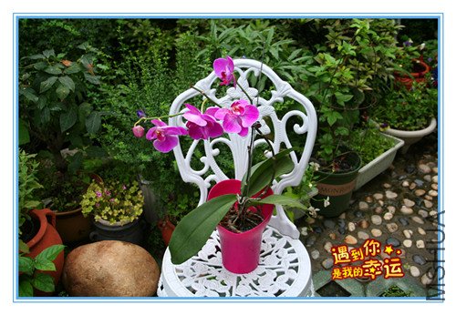 ��Ƭ 042_����.jpg