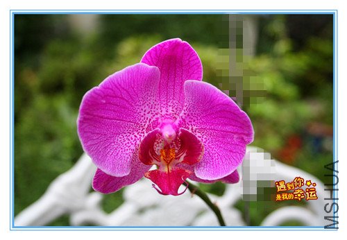 ��Ƭ 045_����.jpg