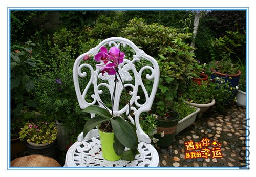 ��Ƭ 046_����.jpg