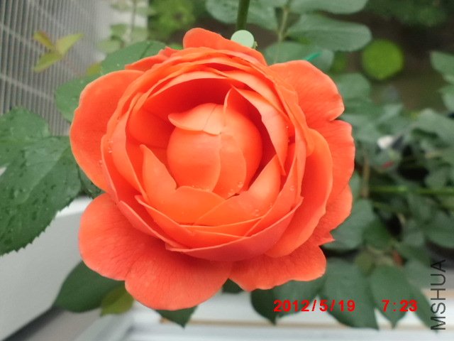 CIMG0949.JPG