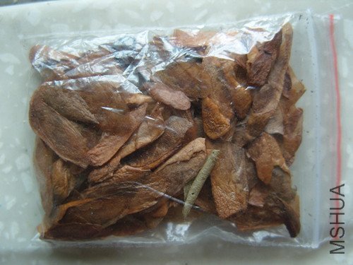SNV17560_����.jpg
