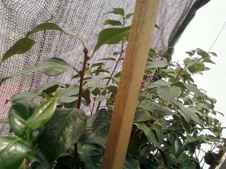 ��Ƭ-0134.jpg