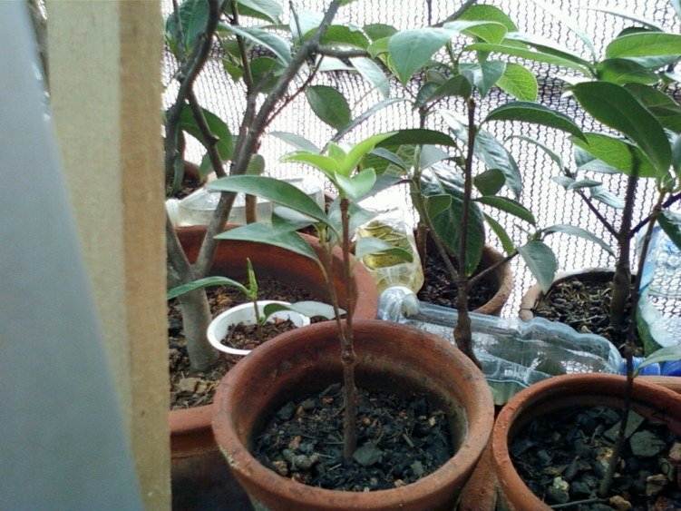 ��Ƭ-0131.jpg