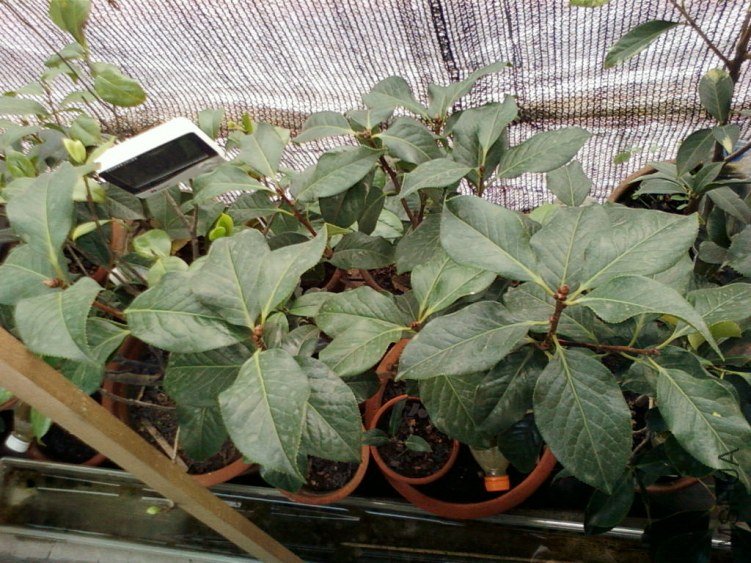 ��Ƭ-0129.jpg