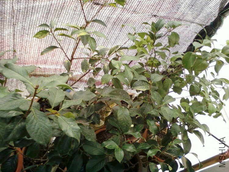 ��Ƭ-0127.jpg