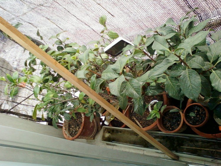 ��Ƭ-0126.jpg